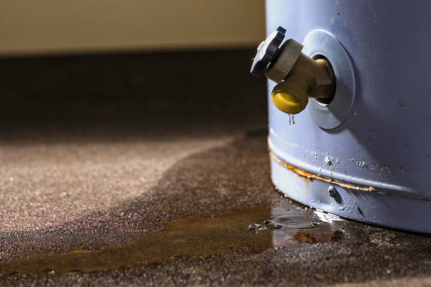 Best Water damage restoration near me  in Hibbing, MN