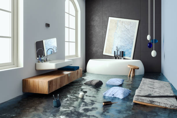 Best Mold removal after water damage  in Hibbing, MN