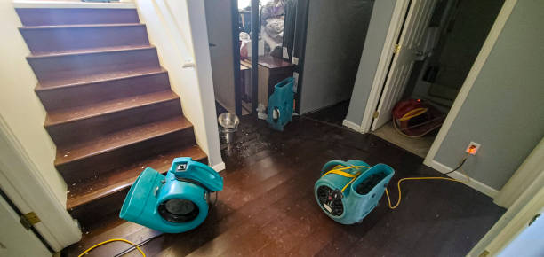 Best 24-hour water damage restoration  in Hibbing, MN