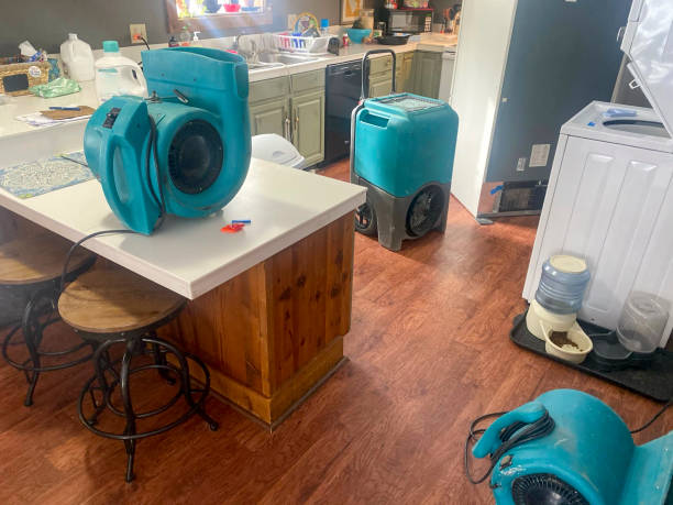 Best Water damage contractors near me  in Hibbing, MN