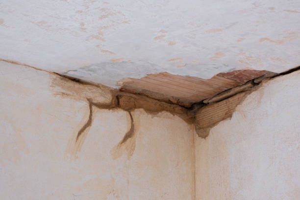 Best Professional water damage repair  in Hibbing, MN