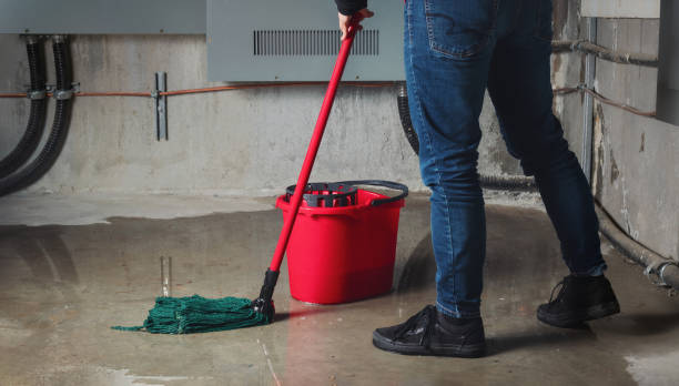 Best Flood damage cleanup  in Hibbing, MN