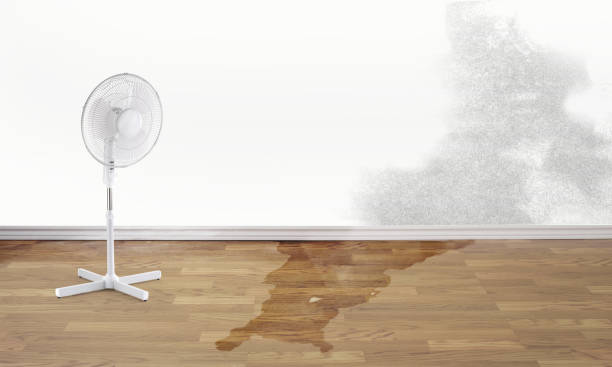 Best 24/7 water damage repair  in Hibbing, MN