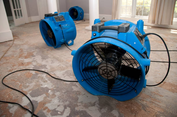 Best Professional water damage repair  in Hibbing, MN