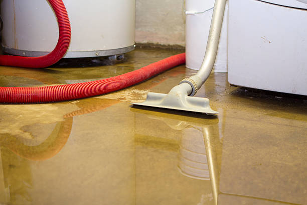 Best Water damage cleanup near me  in Hibbing, MN