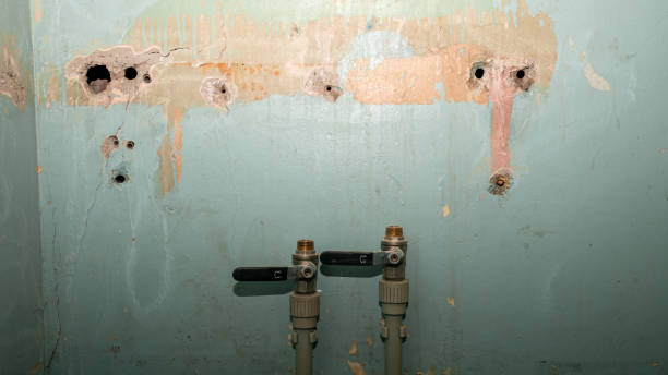 Best Residential water damage restoration  in Hibbing, MN