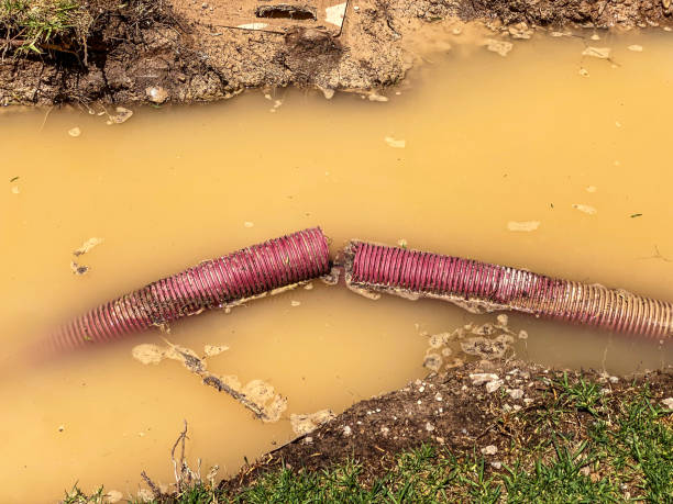 Best Sewage cleanup and water damage restoration  in Hibbing, MN